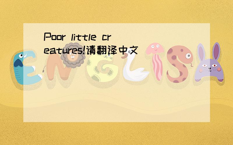 Poor little creatures!请翻译中文