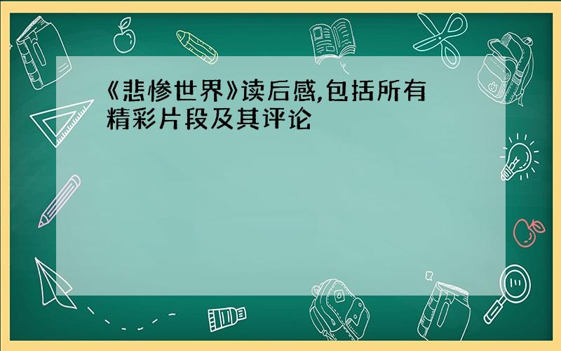 《悲惨世界》读后感,包括所有精彩片段及其评论