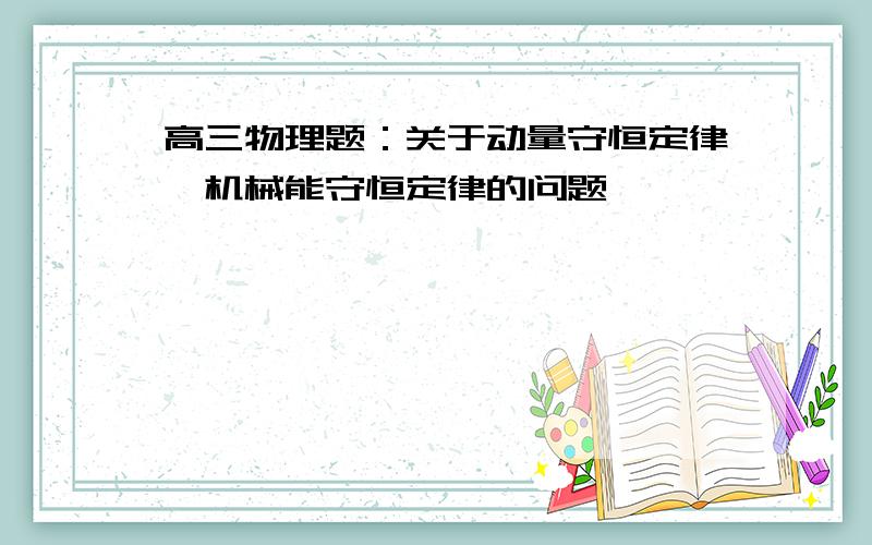 高三物理题：关于动量守恒定律,机械能守恒定律的问题