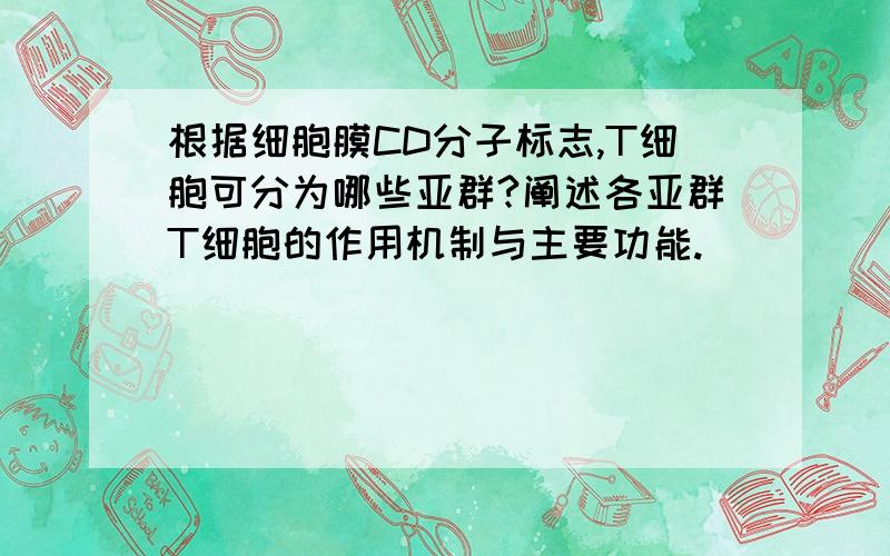 根据细胞膜CD分子标志,T细胞可分为哪些亚群?阐述各亚群T细胞的作用机制与主要功能.