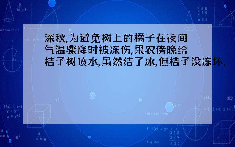 深秋,为避免树上的橘子在夜间气温骤降时被冻伤,果农傍晚给桔子树喷水,虽然结了冰,但桔子没冻坏.