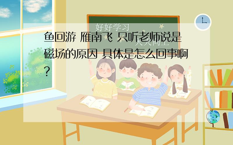 鱼回游 雁南飞 只听老师说是磁场的原因 具体是怎么回事啊?