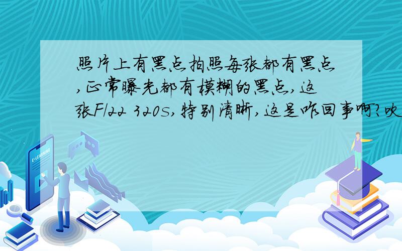 照片上有黑点拍照每张都有黑点,正常曝光都有模糊的黑点,这张F/22 320s,特别清晰,这是咋回事啊?吹过,一点没动,太