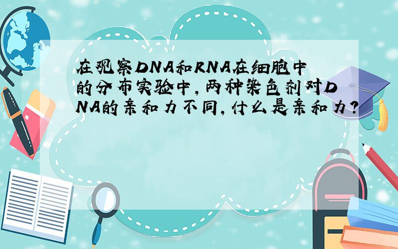 在观察DNA和RNA在细胞中的分布实验中,两种染色剂对DNA的亲和力不同,什么是亲和力?