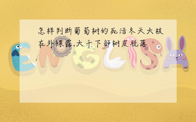 怎样判断葡萄树的死活冬天大枝在外裸露,大干下部树皮脱落