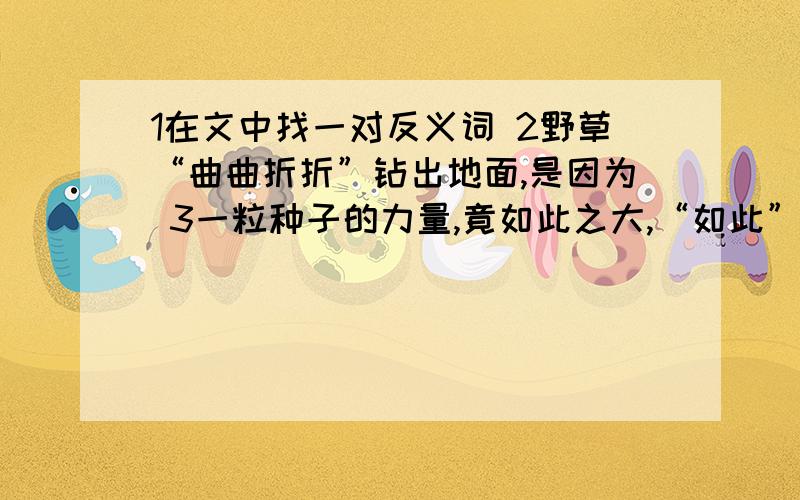 1在文中找一对反义词 2野草“曲曲折折”钻出地面,是因为 3一粒种子的力量,竟如此之大,“如此”是指：他