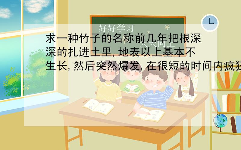 求一种竹子的名称前几年把根深深的扎进土里,地表以上基本不生长,然后突然爆发,在很短的时间内疯狂涨到几米、十几米高的一种竹