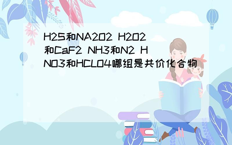 H2S和NA2O2 H2O2和CaF2 NH3和N2 HNO3和HCLO4哪组是共价化合物