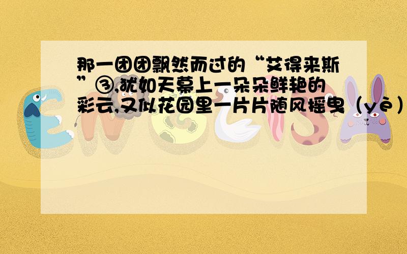 那一团团飘然而过的“艾得来斯”③,犹如天幕上一朵朵鲜艳的彩云,又似花园里一片片随风摇曳（yè）的花儿