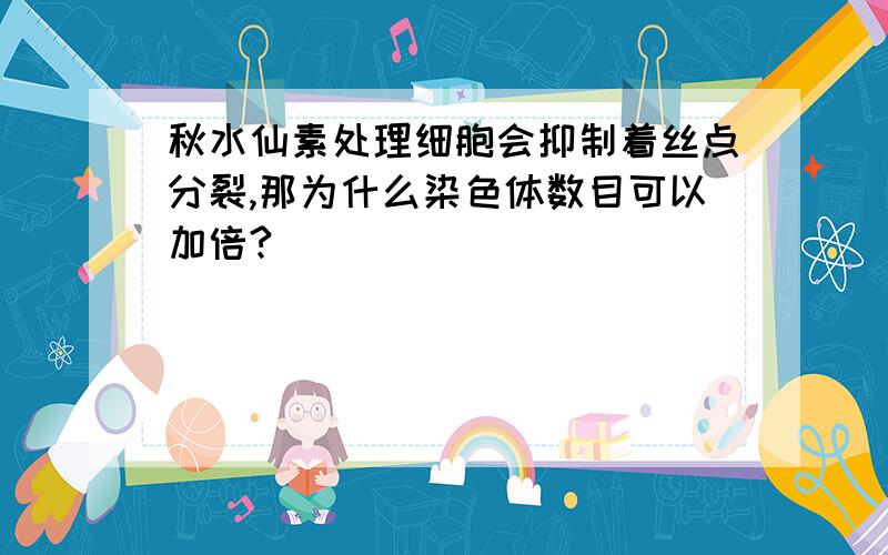 秋水仙素处理细胞会抑制着丝点分裂,那为什么染色体数目可以加倍?