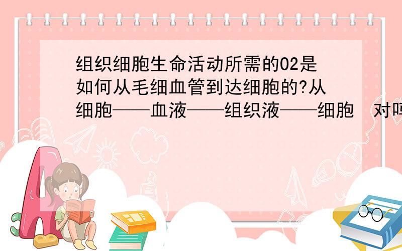 组织细胞生命活动所需的O2是如何从毛细血管到达细胞的?从细胞——血液——组织液——细胞　对吗?