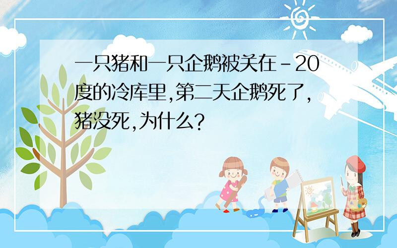 一只猪和一只企鹅被关在－20度的冷库里,第二天企鹅死了,猪没死,为什么?