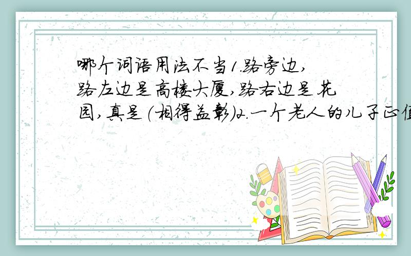 哪个词语用法不当1.路旁边,路左边是高楼大厦,路右边是花园,真是（相得益彰）2.一个老人的儿子正值（豆蔻年华）,但不幸犯