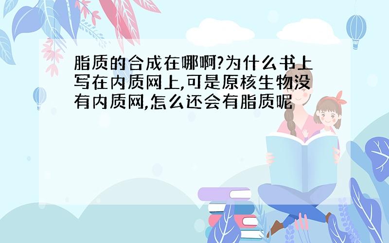 脂质的合成在哪啊?为什么书上写在内质网上,可是原核生物没有内质网,怎么还会有脂质呢