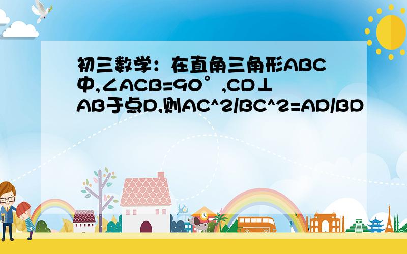 初三数学：在直角三角形ABC中,∠ACB=90°,CD⊥AB于点D,则AC^2/BC^2=AD/BD