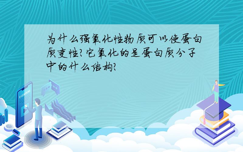 为什么强氧化性物质可以使蛋白质变性?它氧化的是蛋白质分子中的什么结构?