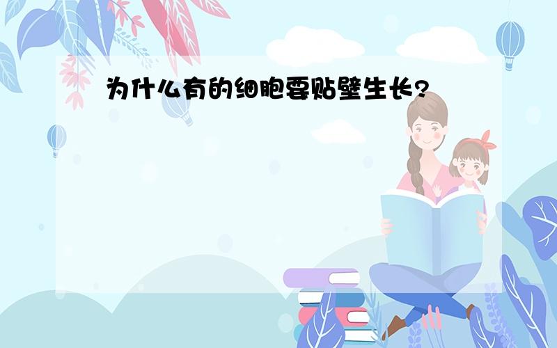 为什么有的细胞要贴壁生长?