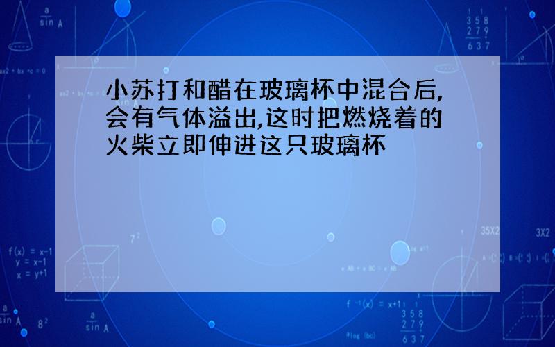 小苏打和醋在玻璃杯中混合后,会有气体溢出,这时把燃烧着的火柴立即伸进这只玻璃杯