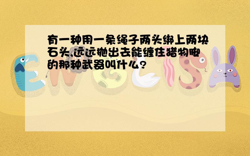 有一种用一条绳子两头绑上两块石头,远远抛出去能缠住猎物脚的那种武器叫什么?