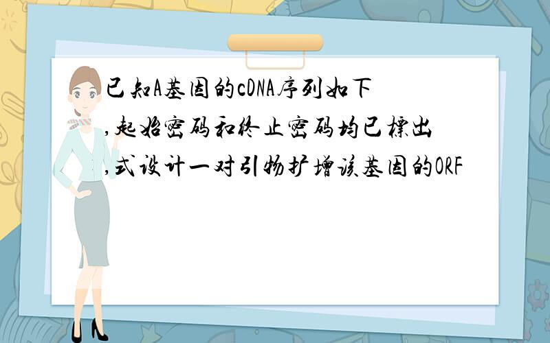 已知A基因的cDNA序列如下,起始密码和终止密码均已标出,式设计一对引物扩增该基因的ORF