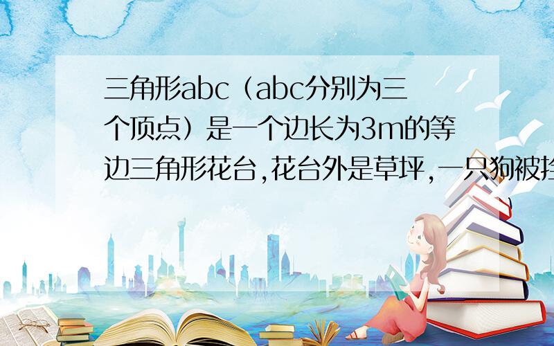 三角形abc（abc分别为三个顶点）是一个边长为3m的等边三角形花台,花台外是草坪,一只狗被拴在a点,绳长4m