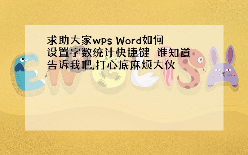 求助大家wps Word如何设置字数统计快捷键　谁知道 告诉我吧,打心底麻烦大伙