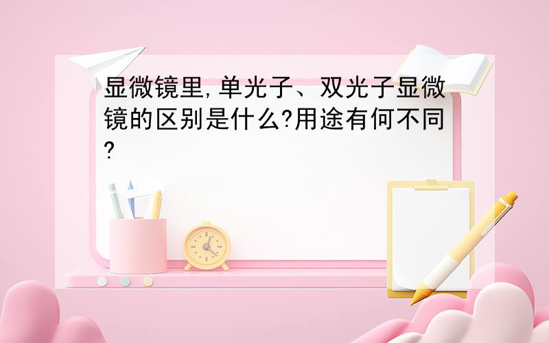 显微镜里,单光子、双光子显微镜的区别是什么?用途有何不同?