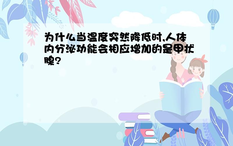 为什么当温度突然降低时,人体内分泌功能会相应增加的是甲状腺?