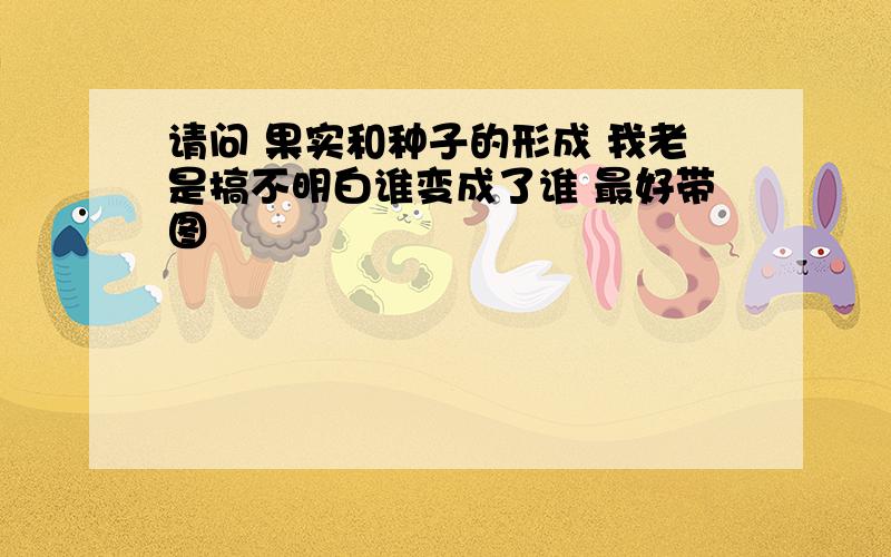 请问 果实和种子的形成 我老是搞不明白谁变成了谁 最好带图