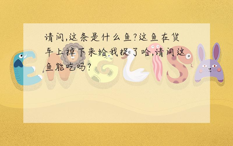 请问,这条是什么鱼?这鱼在货车上掉下来给我捉了哈,请问这鱼能吃吗?