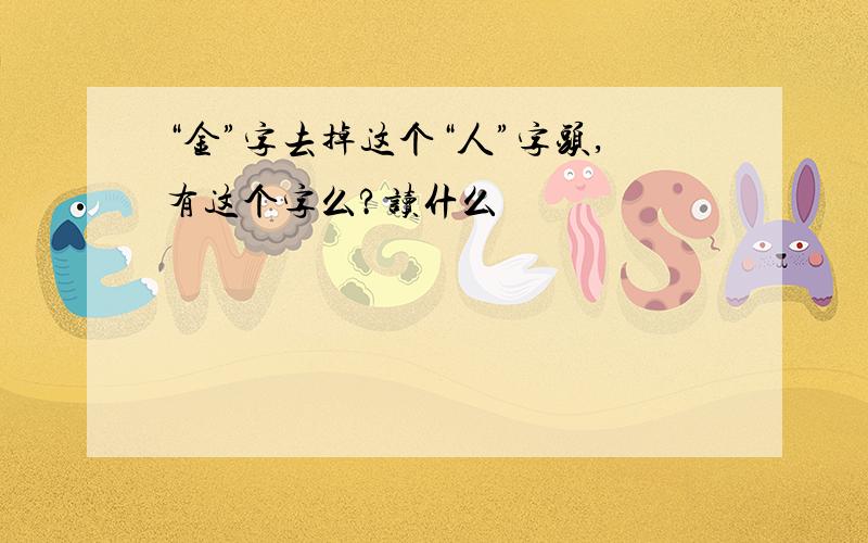 “金”字去掉这个“人”字头,有这个字么?读什么