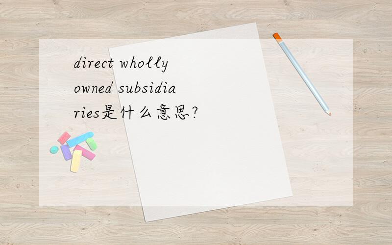 direct wholly owned subsidiaries是什么意思?