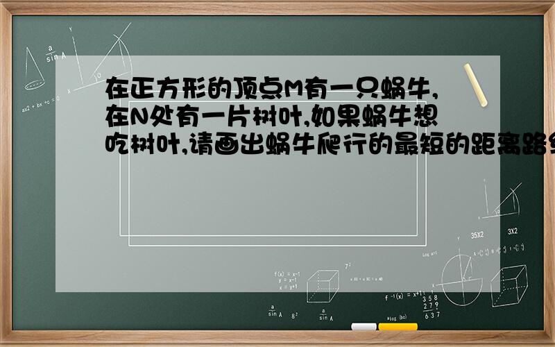 在正方形的顶点M有一只蜗牛,在N处有一片树叶,如果蜗牛想吃树叶,请画出蜗牛爬行的最短的距离路线.