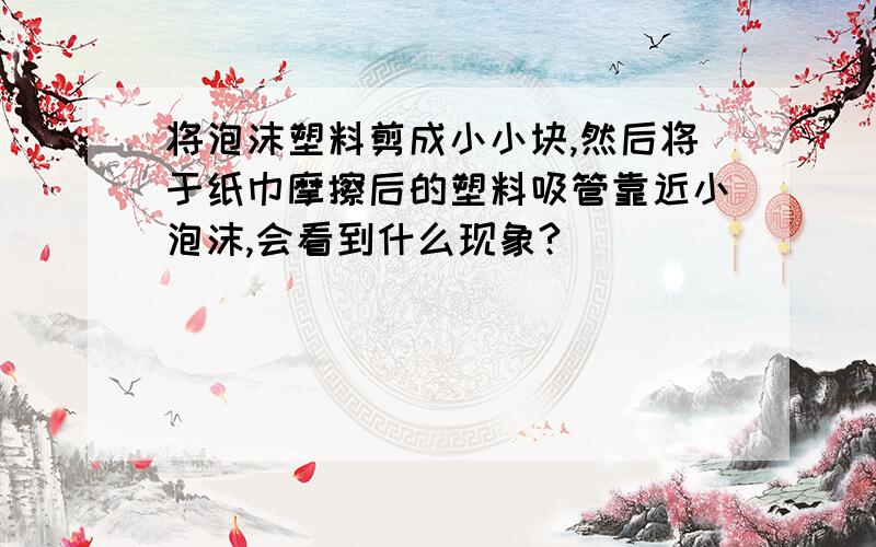 将泡沫塑料剪成小小块,然后将于纸巾摩擦后的塑料吸管靠近小泡沫,会看到什么现象?