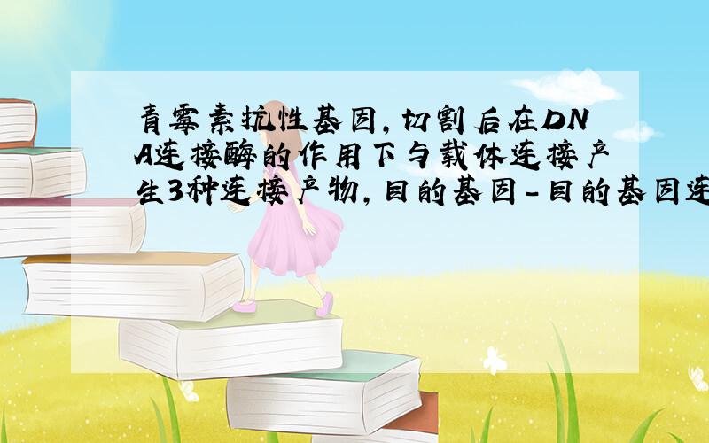 青霉素抗性基因,切割后在DNA连接酶的作用下与载体连接产生3种连接产物,目的基因-目的基因连接物;目的基因-载体连接物;