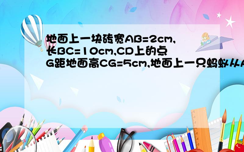 地面上一块砖宽AB=2cm,长BC=10cm,CD上的点G距地面高CG=5cm,地面上一只蚂蚁从A处到G吃食物,若蚂蚁只