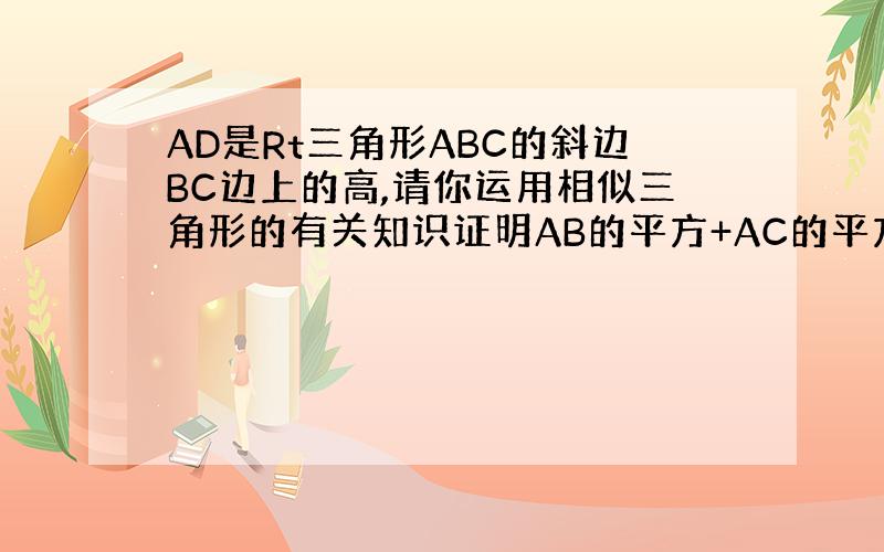 AD是Rt三角形ABC的斜边BC边上的高,请你运用相似三角形的有关知识证明AB的平方+AC的平方=BC的平方.