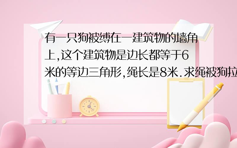 有一只狗被缚在一建筑物的墙角上,这个建筑物是边长都等于6米的等边三角形,绳长是8米.求绳被狗拉紧时,狗