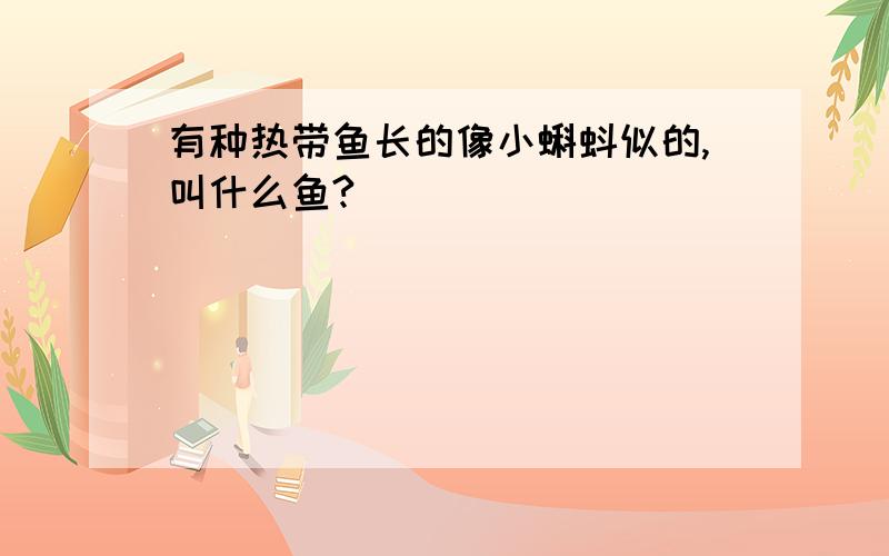 有种热带鱼长的像小蝌蚪似的,叫什么鱼?