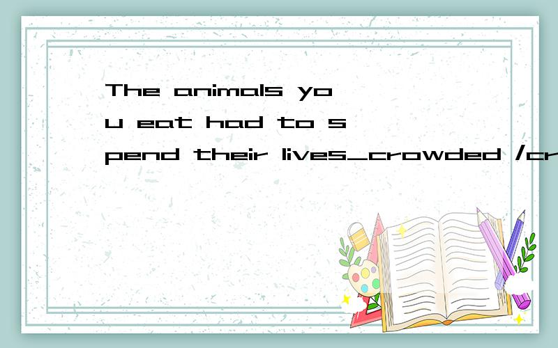 The animals you eat had to spend their lives_crowded /crowdi