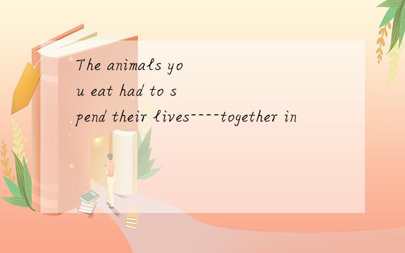 The animals you eat had to spend their lives----together in