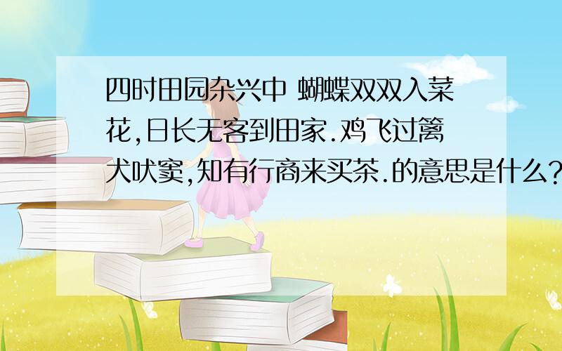 四时田园杂兴中 蝴蝶双双入菜花,日长无客到田家.鸡飞过篱犬吠窦,知有行商来买茶.的意思是什么?