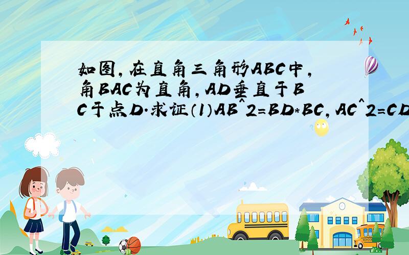 如图,在直角三角形ABC中,角BAC为直角,AD垂直于BC于点D.求证（1）AB^2=BD*BC,AC^2=CD*CB;