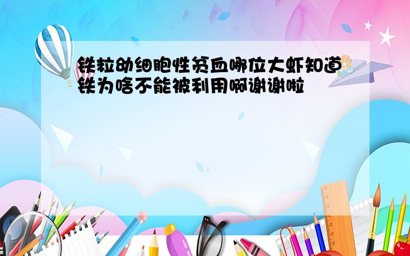 铁粒幼细胞性贫血哪位大虾知道铁为啥不能被利用啊谢谢啦