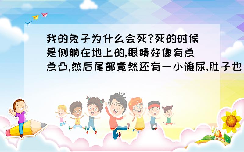 我的兔子为什么会死?死的时候是侧躺在地上的,眼睛好像有点点凸,然后尾部竟然还有一小滩尿,肚子也有点鼓.一个多小时前去看过