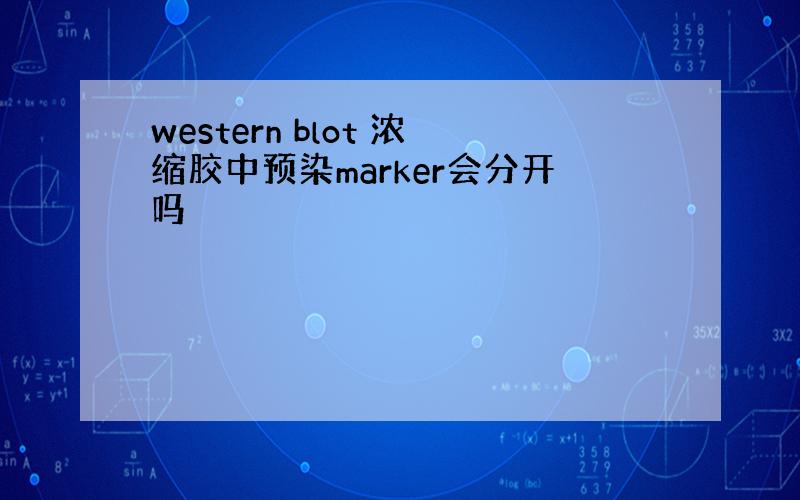 western blot 浓缩胶中预染marker会分开吗