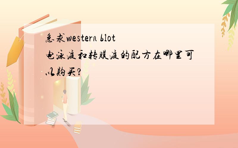 急求western blot电泳液和转膜液的配方在哪里可以购买?