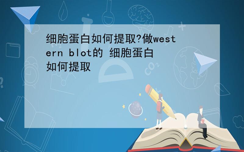 细胞蛋白如何提取?做western blot的 细胞蛋白如何提取