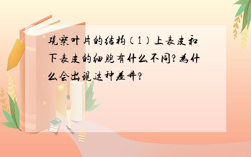 观察叶片的结构（1）上表皮和下表皮的细胞有什么不同?为什么会出现这种差异?