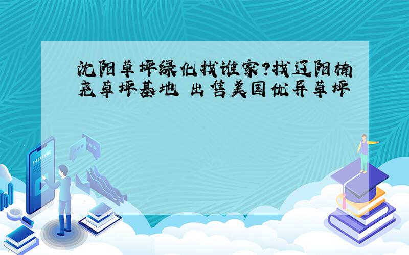 沈阳草坪绿化找谁家?找辽阳楠尧草坪基地 出售美国优异草坪